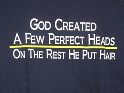 God Created Few Perfect Heads,On The Rest He Put Hair T-shirt-CLICK ME!